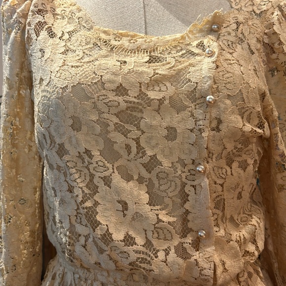 Vintage Cachet by Bari Protasl lace dress size 6 - Picture 3 of 6